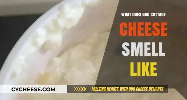 Unpleasant Aromas: Identifying the Foul Smell of Spoiled Cottage Cheese