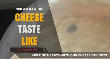 Unpleasant Flavors: How to Identify Spoiled Cottage Cheese Taste