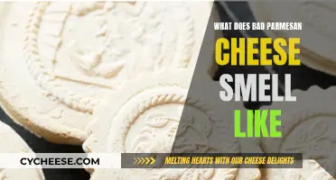 The Stinky Truth: Bad Parmesan's Unpleasant Aroma Revealed