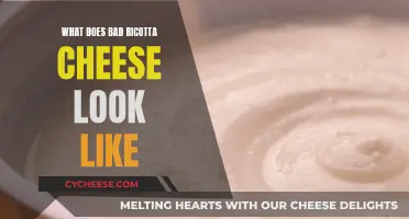 How to Identify Bad Ricotta Cheese: A Visual Guide