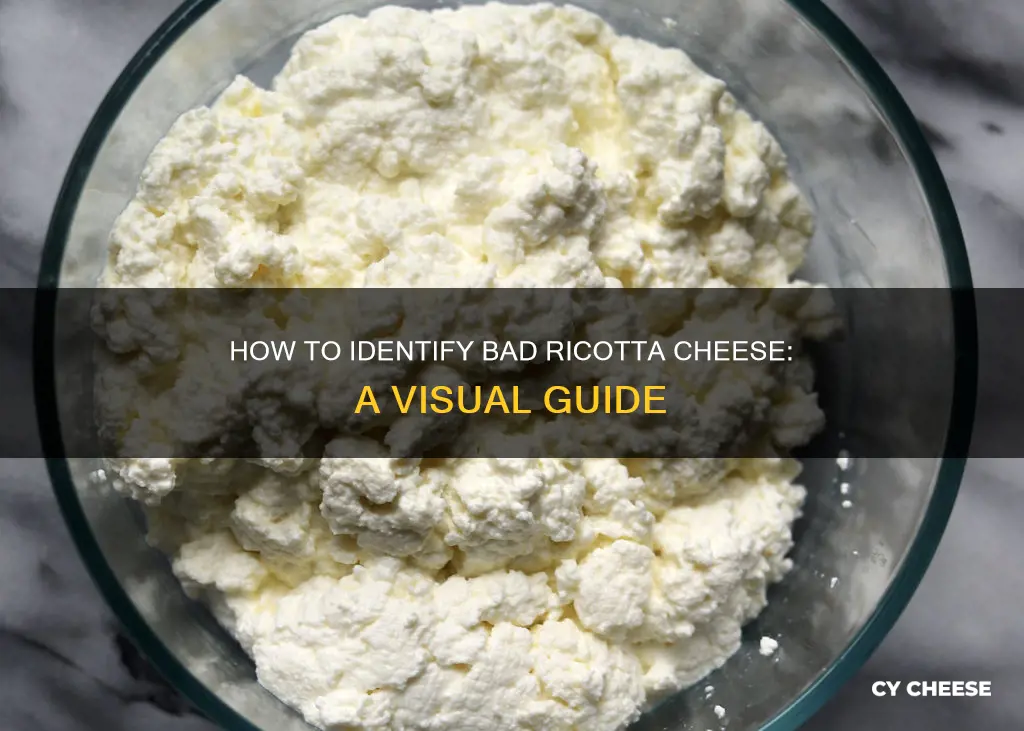 what does bad ricotta cheese look like