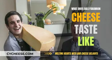Ballyshannon Cheese: A Taste of Ireland's Creamy Dream