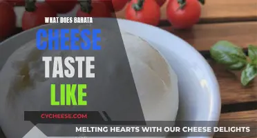 Barata Cheese: A Taste of Creamy, Tangy, and Decadent Delight