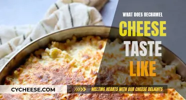 The Taste of Béchamel Cheese: A Savory Sensation