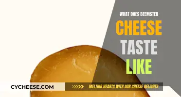 Beemster Cheese: A Rich, Buttery, and Nutty Flavor Experience