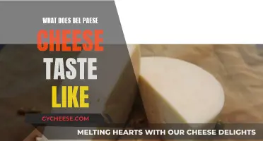 Bel Paese Cheese: A Buttery, Mild, and Creamy Taste