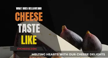 The Unique Taste of Bellavitano Cheese