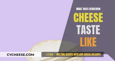 The Taste of Bergeron Cheese: A Savory Adventure