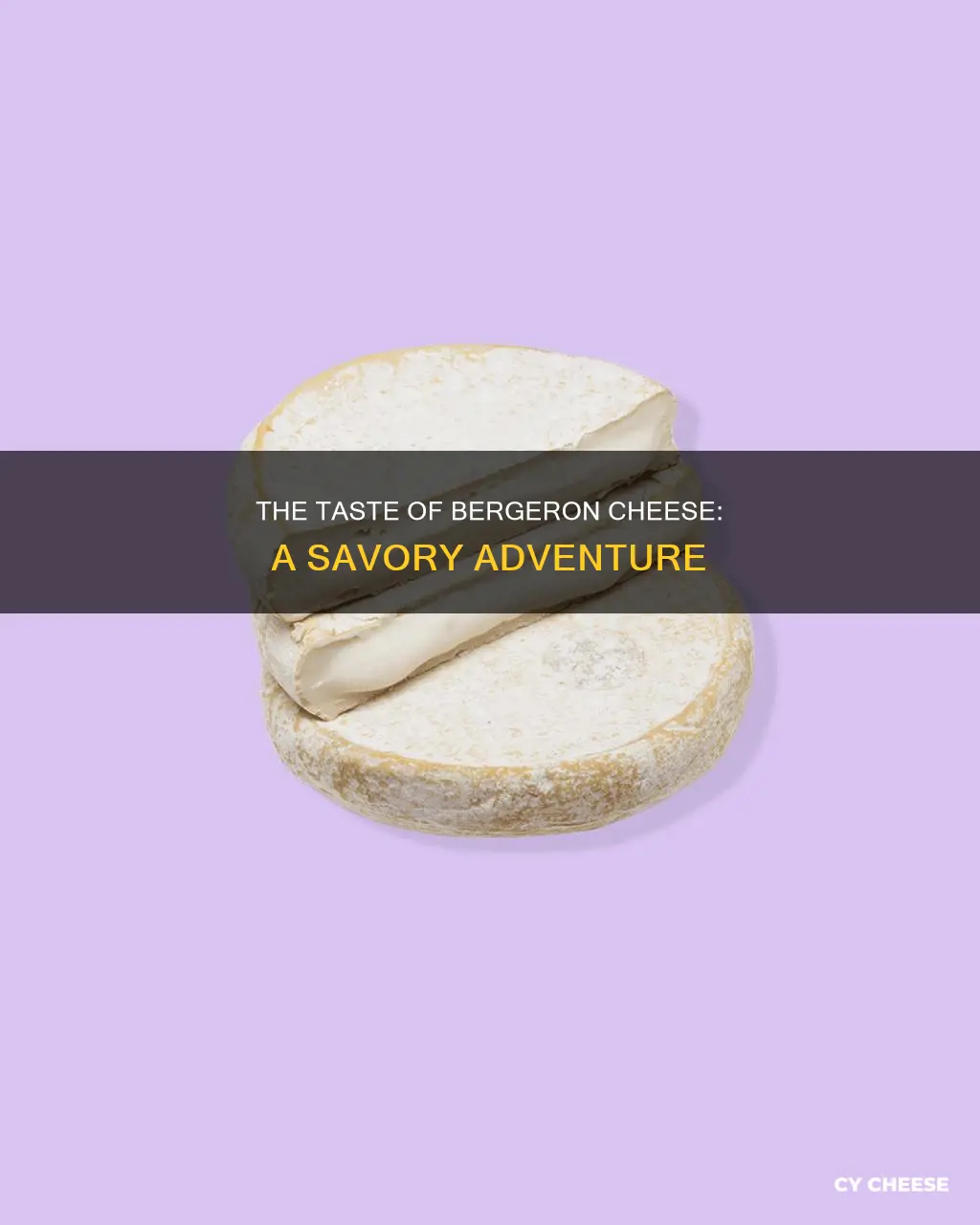 what does bergeron cheese taste like