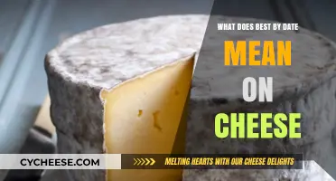 Cheese Expiration: Best By Dates Explained