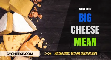 What Does Big Cheese Mean? Unraveling the Origins and Usage