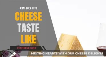 The Unique Taste of Bitto Cheese Explained