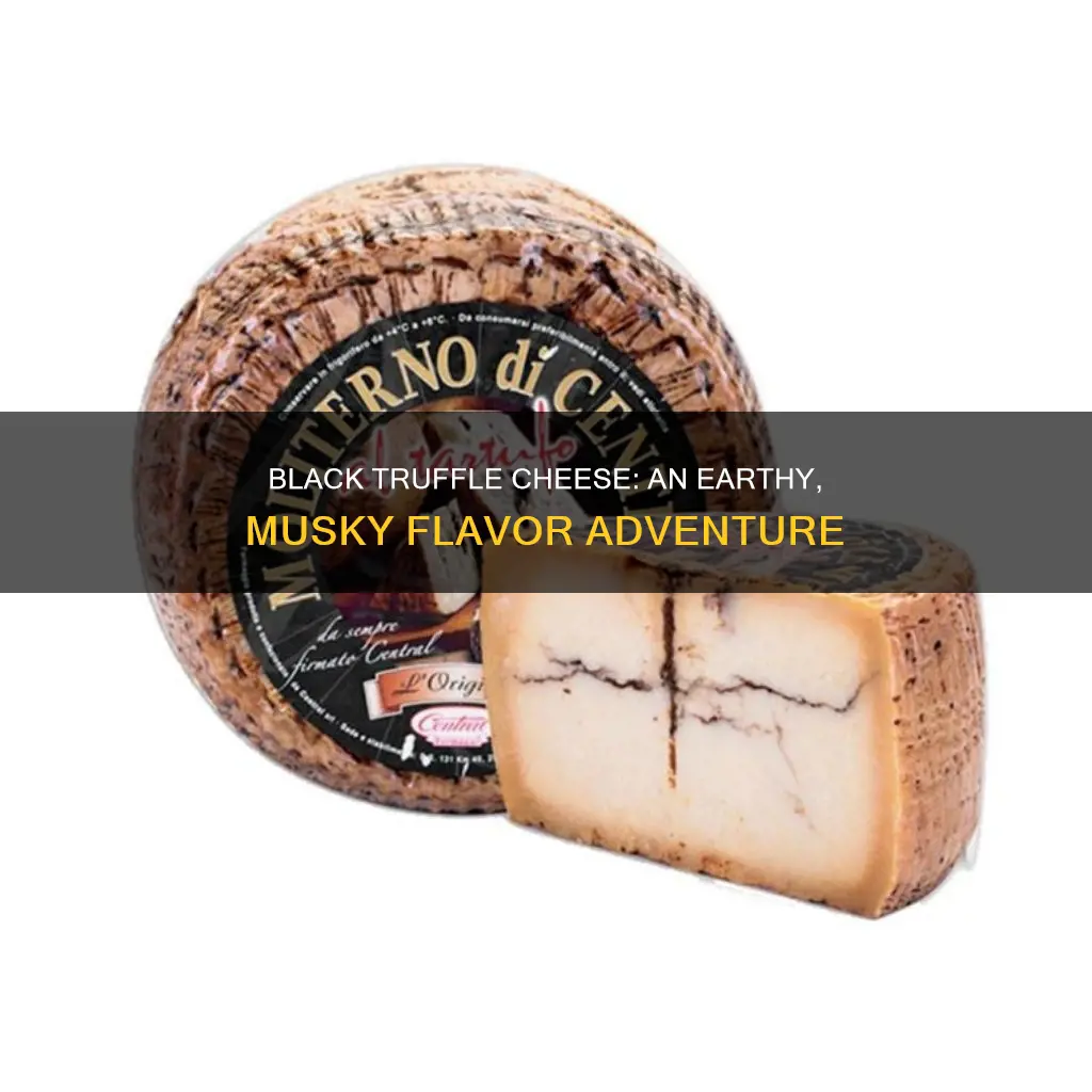 what does black truffle cheese taste like
