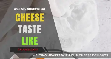 Discover the Unique, Creamy Flavor of Blended Cottage Cheese