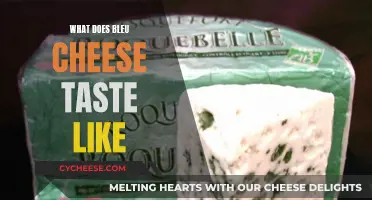 The Unique Taste of Bleu Cheese: A Beginner's Guide