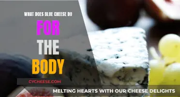 Blue Cheese Benefits: Superfood for Your Body and Brain