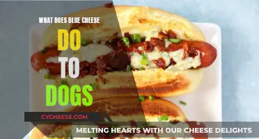 Blue Cheese and Dogs: A Dangerous Mix?