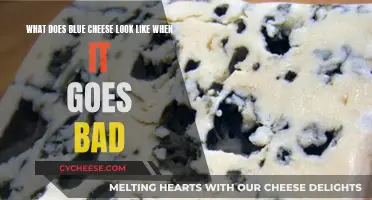 Blue Cheese: Signs of Spoilage and What to Look For