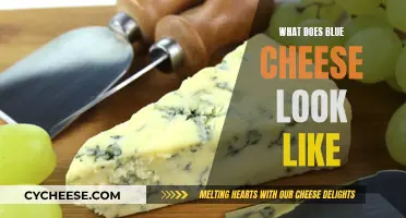 Blue Cheese: A Visual Guide to Its Unique Appearance