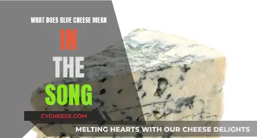 The Meaning Behind the Lyrics: Blue Cheese