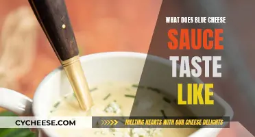 Blue Cheese Sauce: A Tangy, Savory Delight