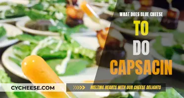 Blue Cheese and Capsaicin: A Tasty Science