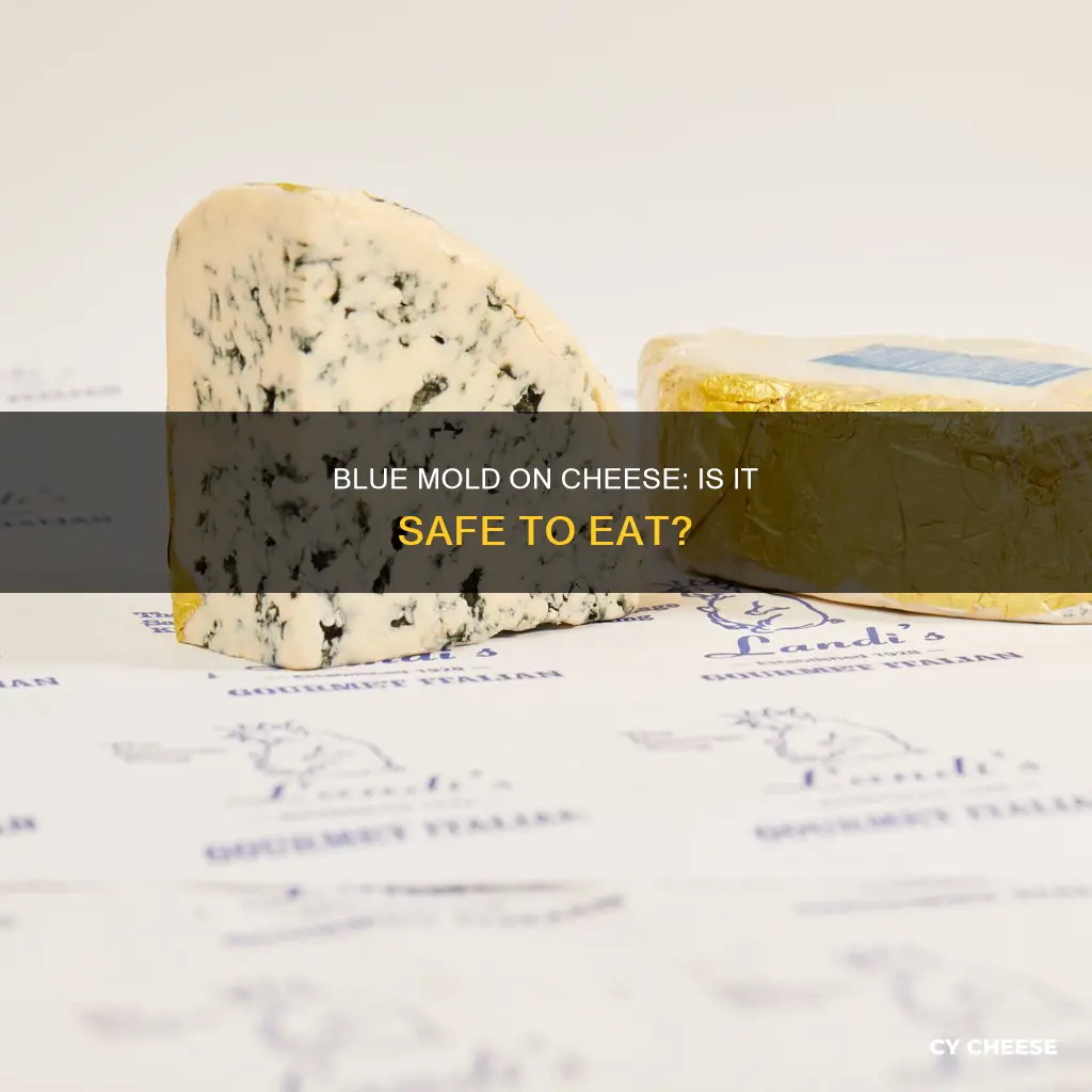 what does blue mold mean cheese