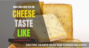 Unveiling Blue Stilton Cheese: A Taste Adventure