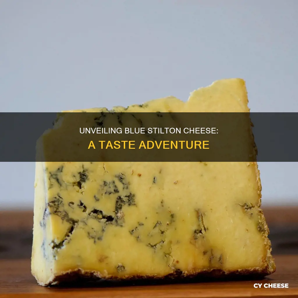 what does blue stilton cheese taste like