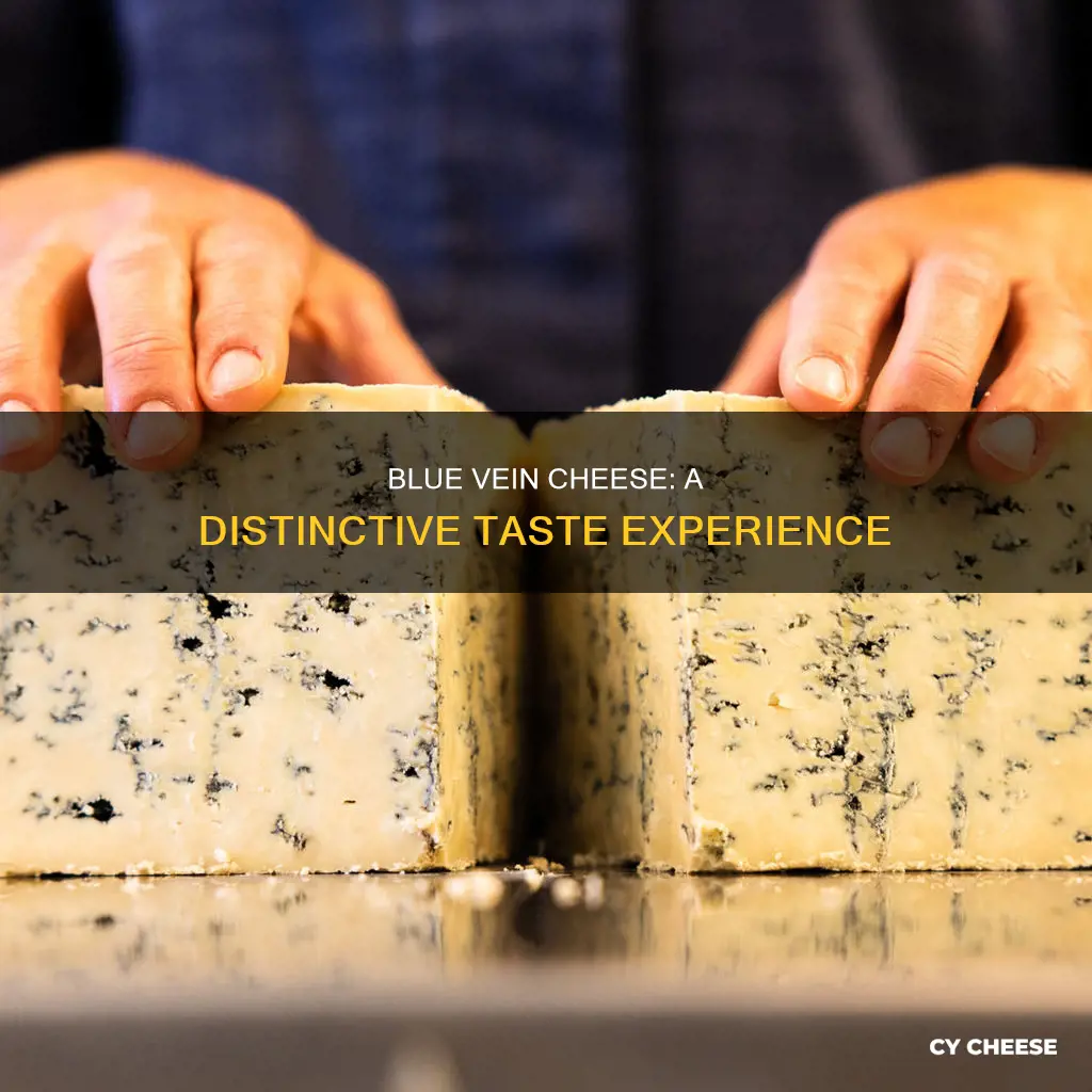 what does blue vein cheese taste like