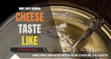 The Unique Taste of Boursin Cheese