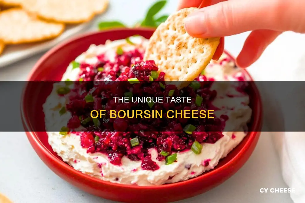 what does boursin cheese taste like