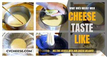 The Unique Taste of Breast Milk Cheese