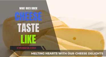 Brick Cheese: A Tangy, Sweet, and Salty Taste Experience