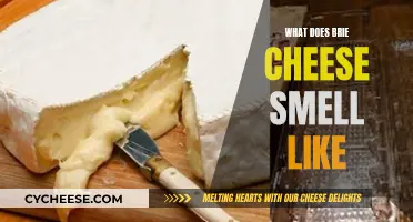 Brie Cheese: The Smell and Taste Experience