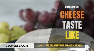 Brie Cheese: A Buttery, Creamy, and Rich Flavor Experience
