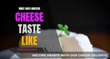 The Unique Taste of Brocciu Cheese