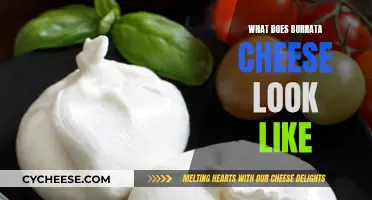 The Mystery Unveiled: Burrata Cheese's Appearance
