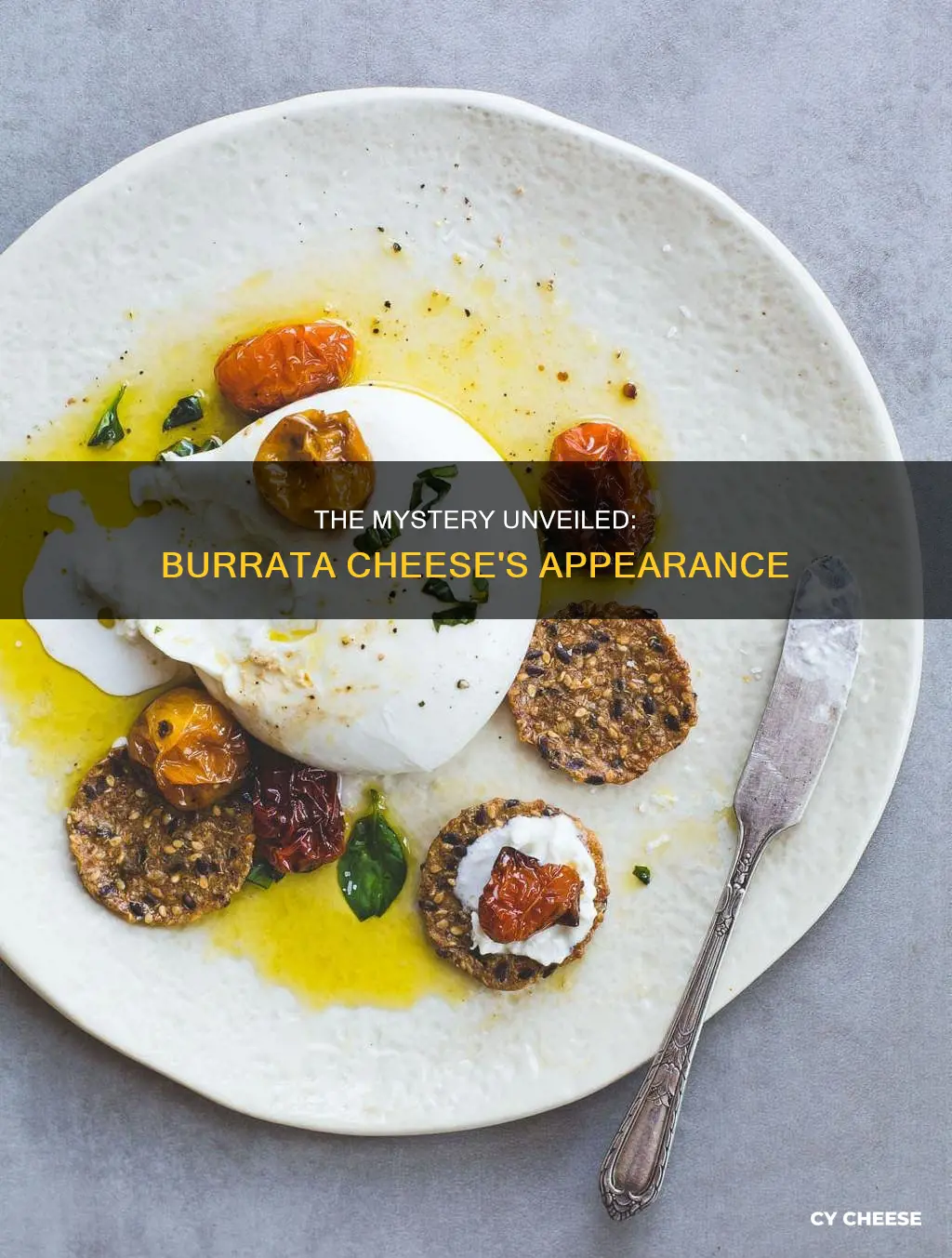 what does burrata cheese look like