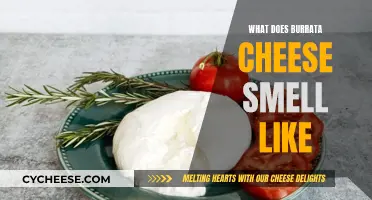The Aroma of Burrata Cheese: A Sensory Experience