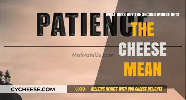 The Second Mouse: A Lesson in Patience and Strategy