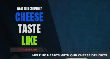 Taste of Caerphilly Cheese: A Savory Adventure