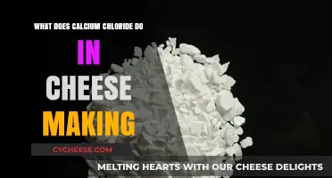 Calcium Chloride's Role in Cheese Making: Enhancing Texture and Yield