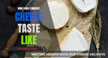Unveiling Camembert Cheese: A Rich, Buttery, and Tangy Indulgence