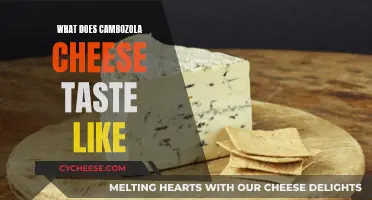 The Unique, Tangy Taste of Cambozola Cheese