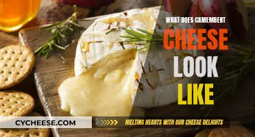 The Visual Guide to Camembert Cheese