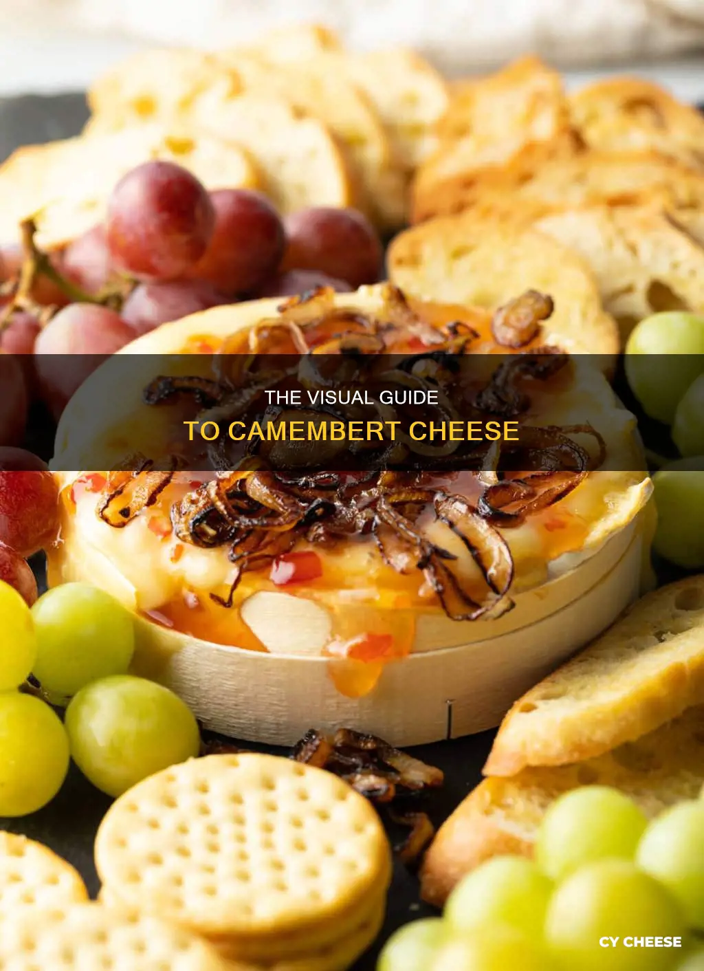 what does camembert cheese look like