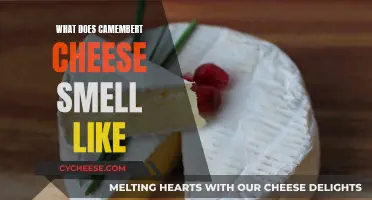 The Stinky Truth About Camembert Cheese