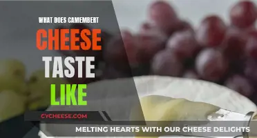 Camembert Cheese: A Rich, Buttery, and Creamy Flavor
