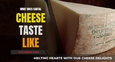 The Unique Taste of Cantal Cheese Explained